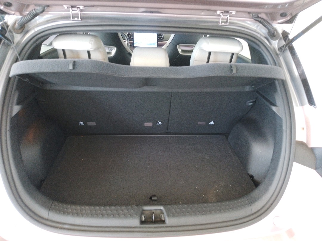 BYD-DOLPHIN-60,5 KW ELÉTRICO PLUS