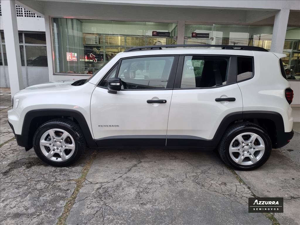 RENEGADE 1.3 T270 TURBO FLEX AT63