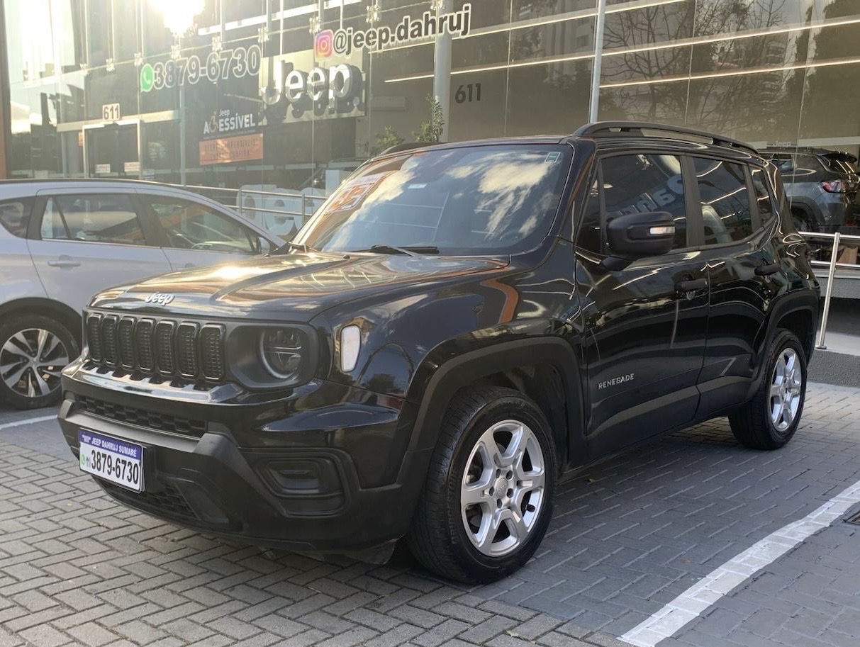RENEGADE 1.3 T270 TURBO FLEX AT612