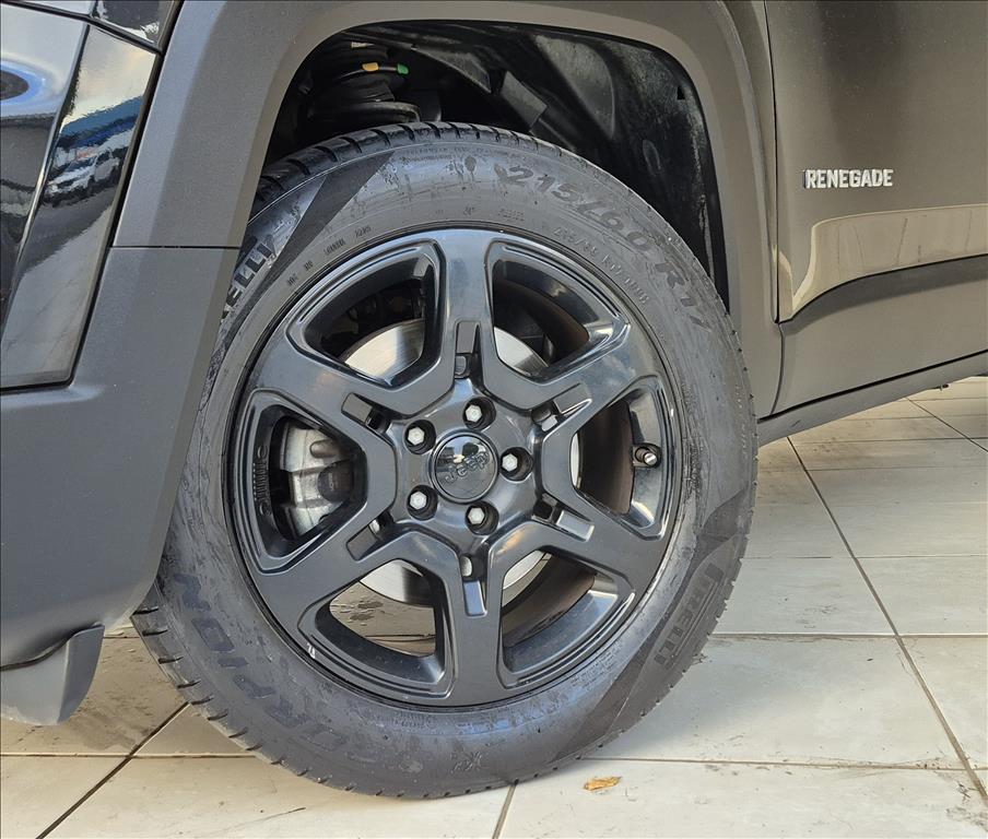 RENEGADE 1.3 T270 TURBO FLEX AT620