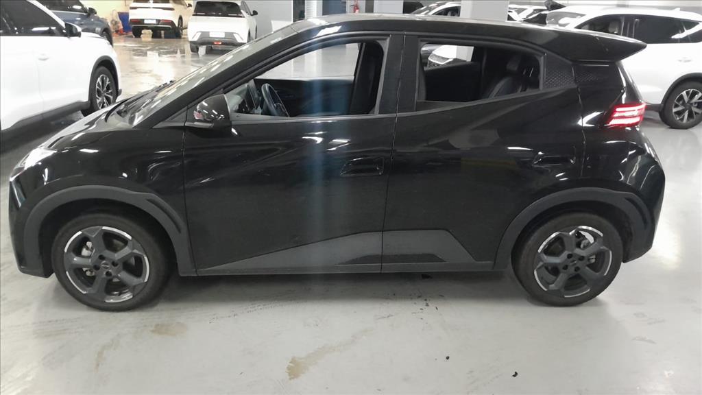 DOLPHIN MINI 38 KW ELÉTRICO3