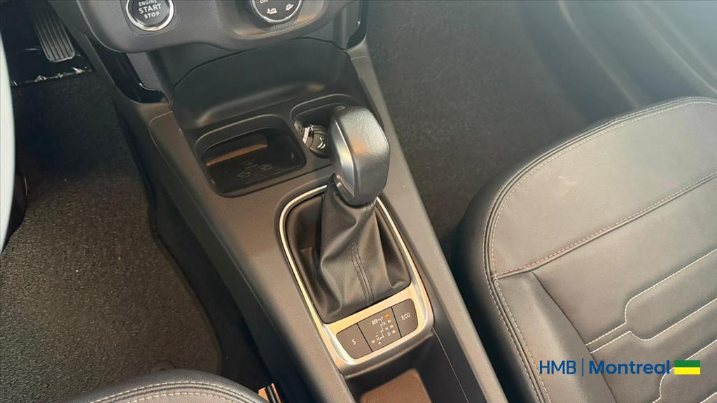 C4 CACTUS 1.6 THP FLEX SHINE PACK EAT616