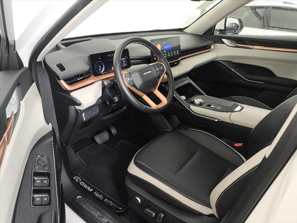 HAVAL H6 1.5 PHEV19 E-TRACTION3
