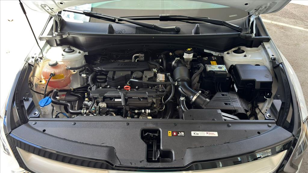SPORTAGE 1.6 TGDI MHEV EX DCT11