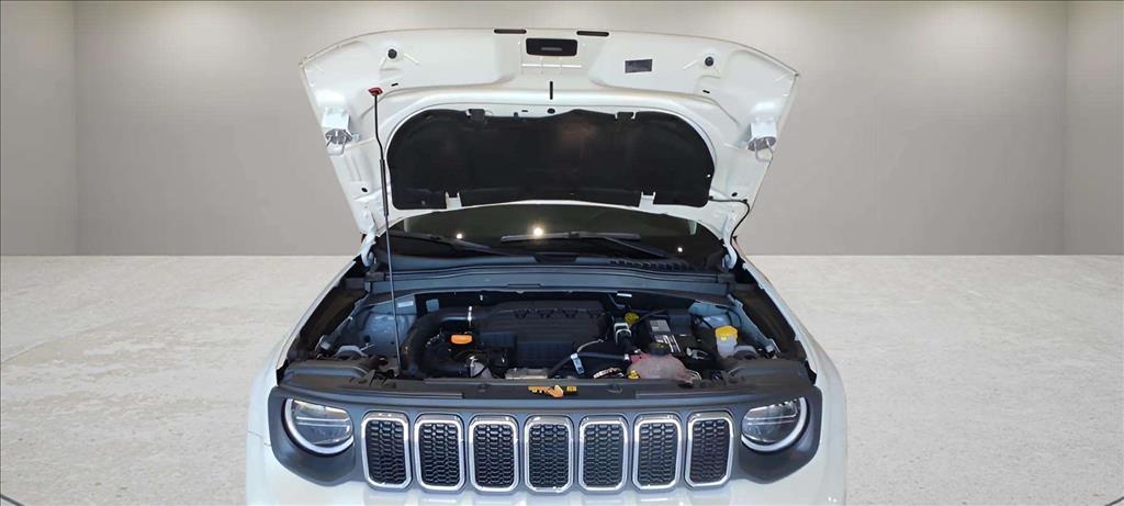 RENEGADE 1.3 T270 TURBO FLEX SAHARA AT614