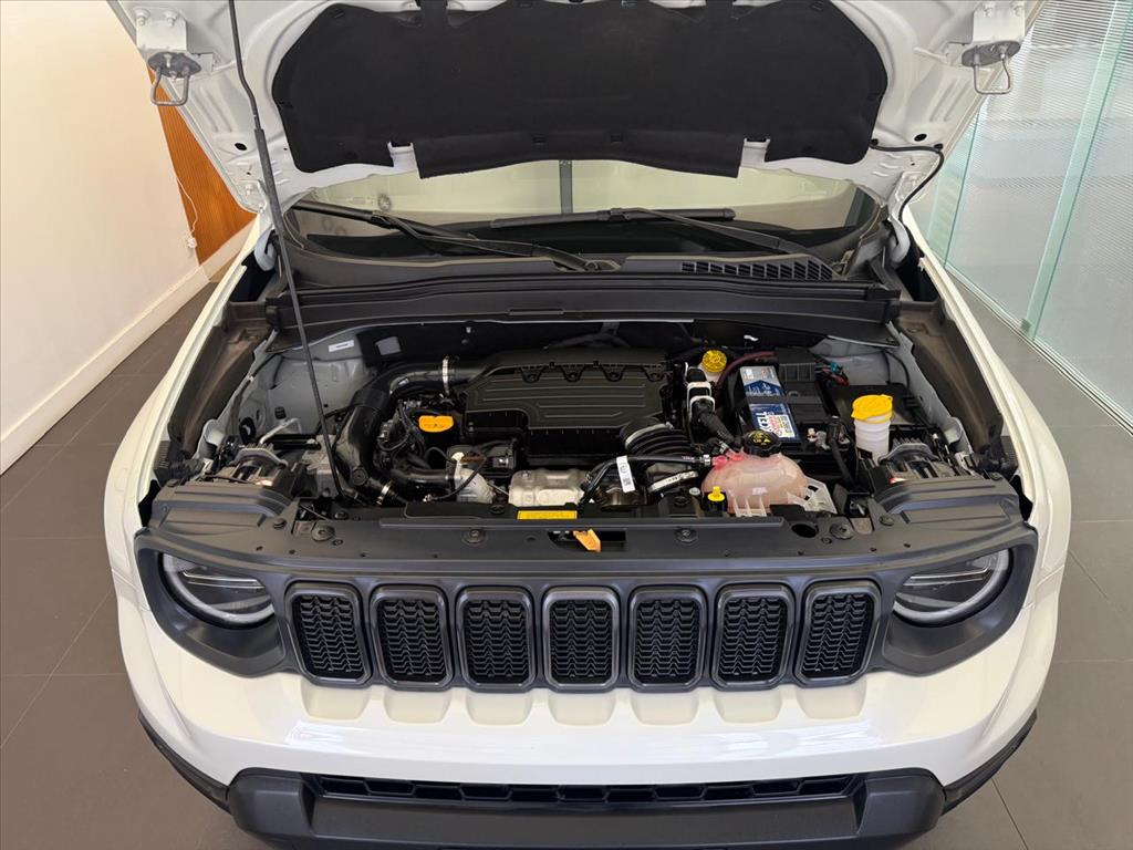 RENEGADE 1.3 T270 TURBO FLEX S 4X4 AT98