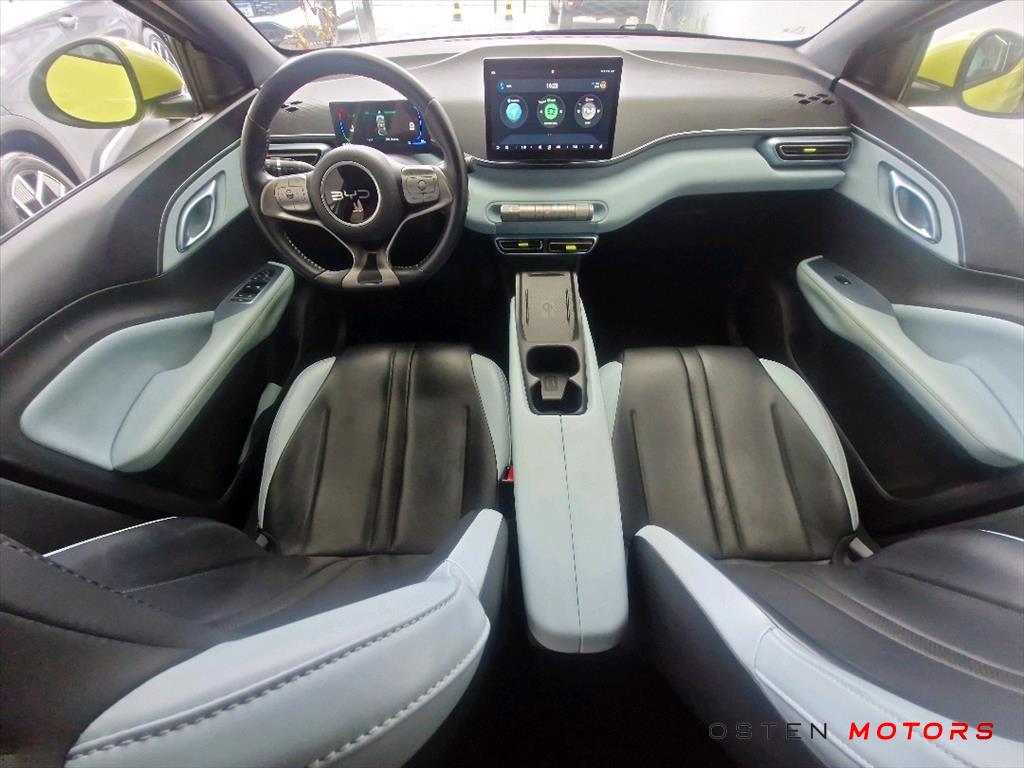 BYD-DOLPHIN MINI-38 KW ELÉTRICO