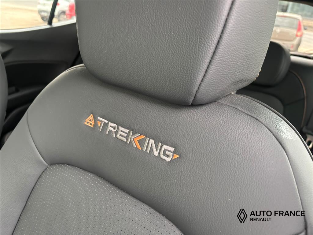 ARGO 1.3 FIREFLY FLEX TREKKING CVT19