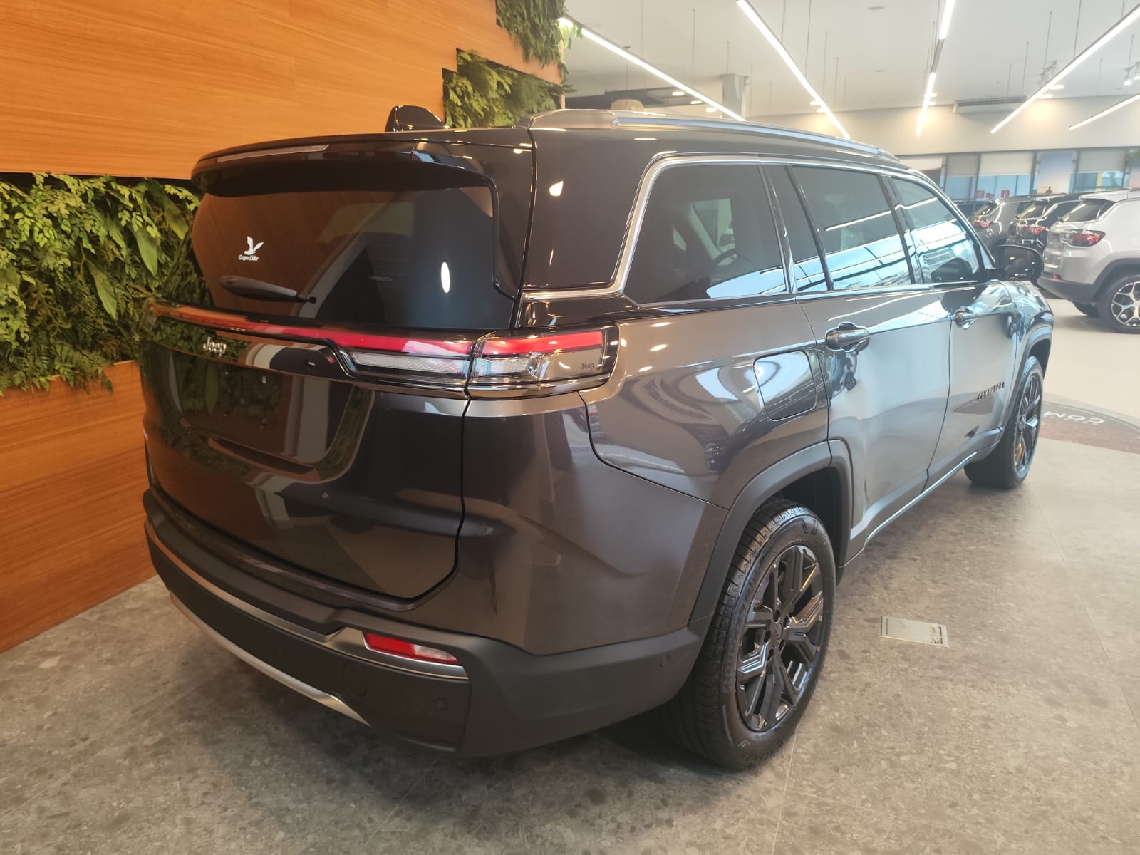 COMMANDER 1.3 T270 TURBO FLEX LONGITUDE AT62