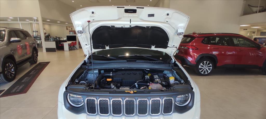 RENEGADE 1.3 T270 TURBO FLEX SAHARA AT612