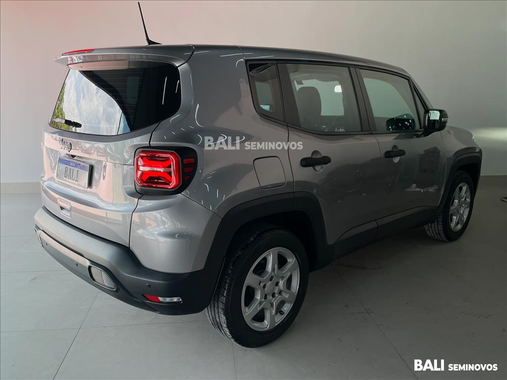 RENEGADE 1.3 T270 TURBO FLEX AT66