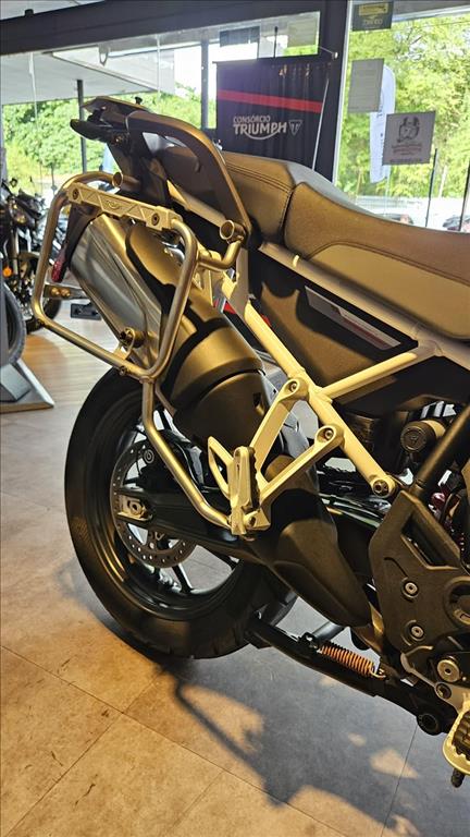 TIGER 900 GT ARAGÓN6