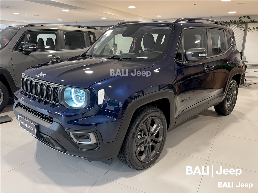 RENEGADE 1.3 T270 TURBO FLEX LONGITUDE AT62