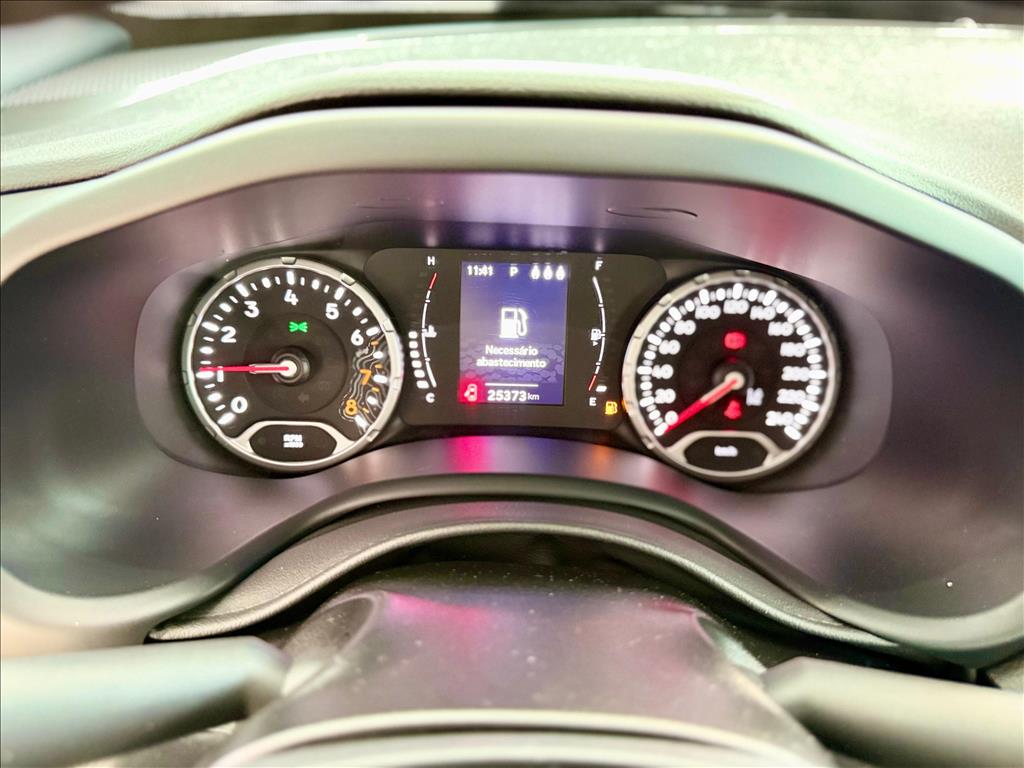 RENEGADE 1.3 T270 TURBO FLEX AT612