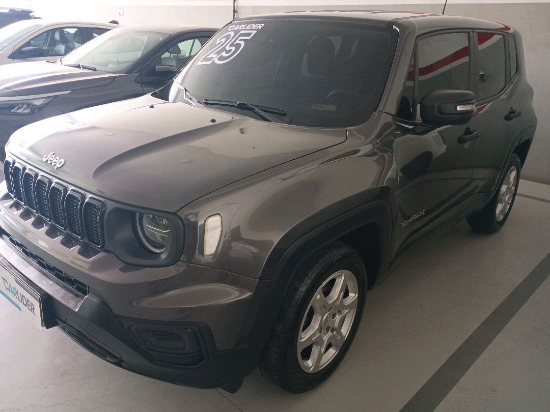 RENEGADE 1.3 T270 TURBO FLEX AT65