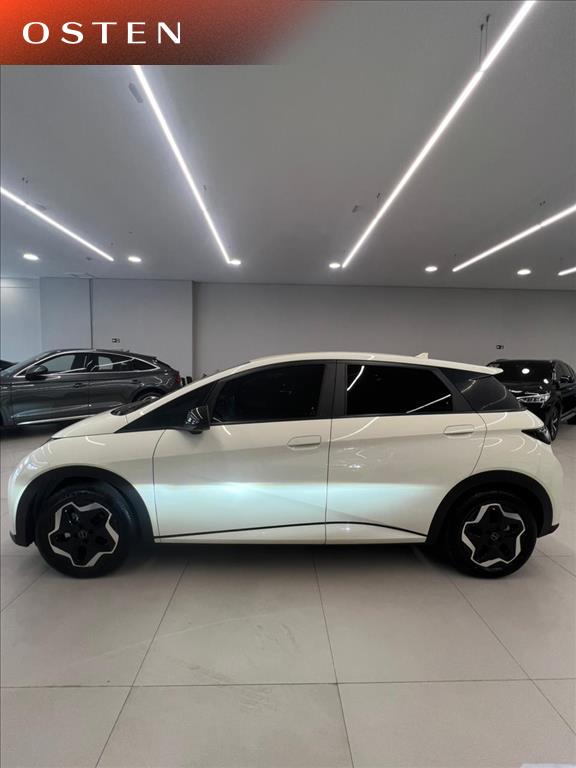 BYD-DOLPHIN-44,9 KW ELÉTRICO
