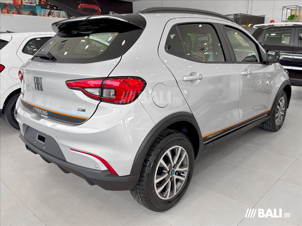 ARGO 1.3 FIREFLY FLEX TREKKING CVT3