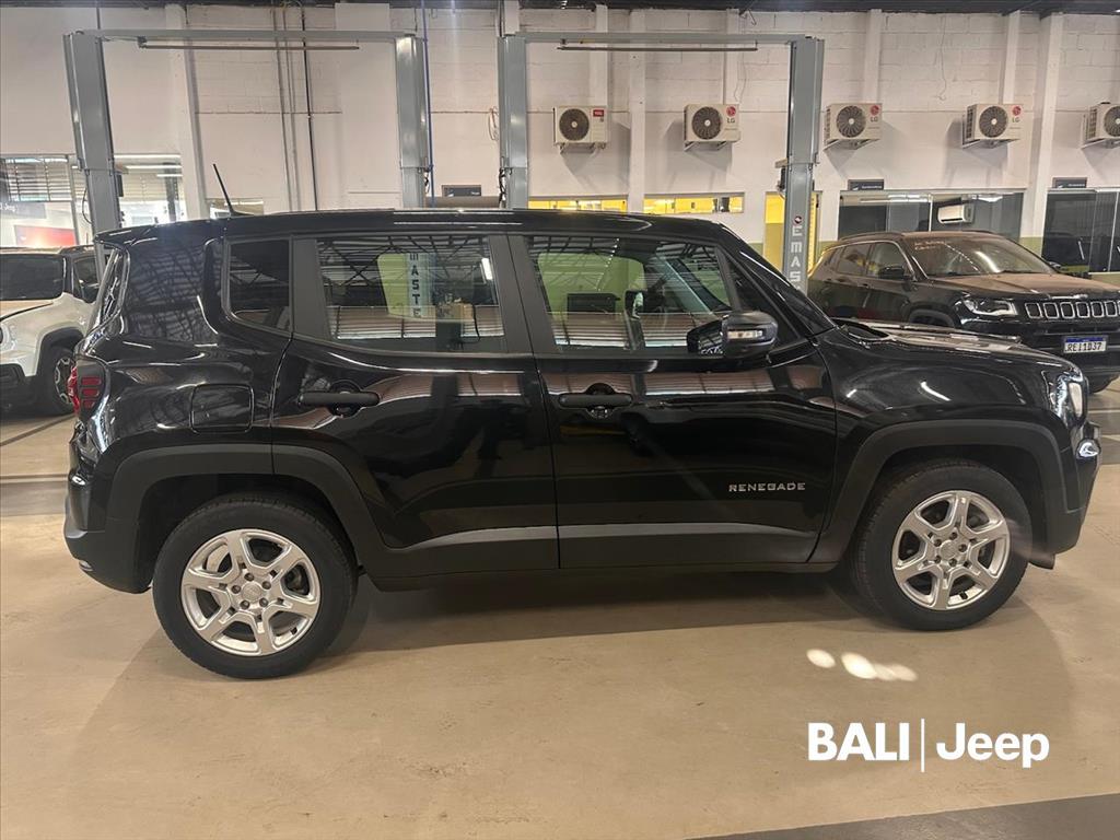 RENEGADE 1.3 T270 TURBO FLEX AT65