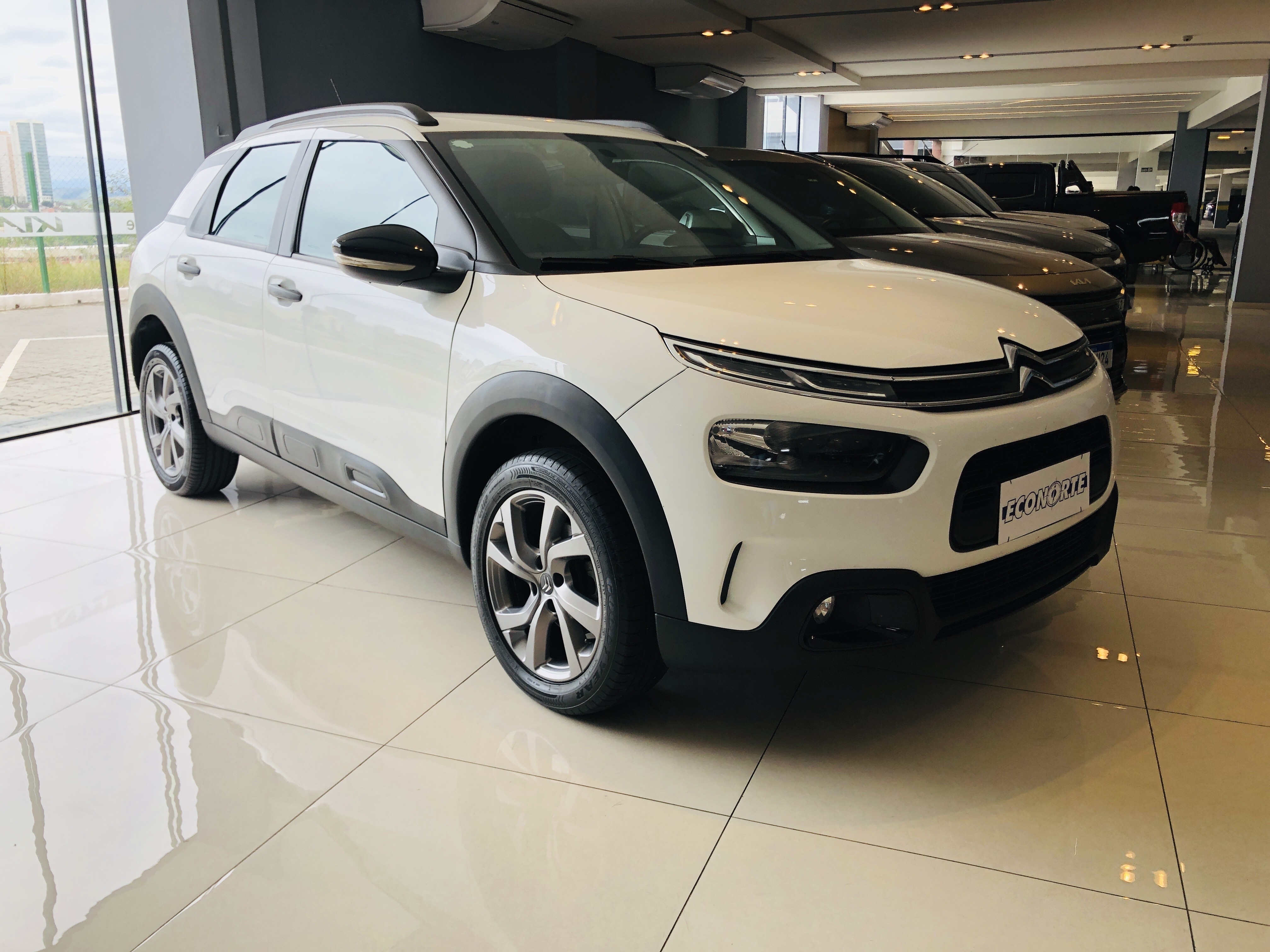 C4 CACTUS 1.6 VTI 120 FLEX FEEL EAT62