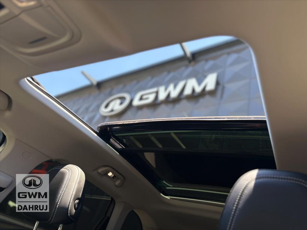 HAVAL H6 1.5 PHEV PREMIUM AWD E-TRACTION10