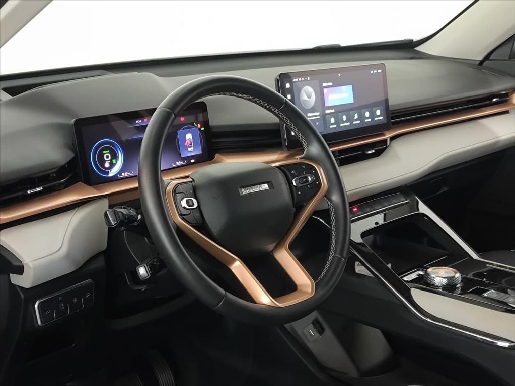 HAVAL H6 1.5 PHEV19 E-TRACTION3