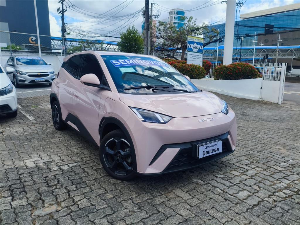 DOLPHIN MINI 38 KW ELÉTRICO 5L