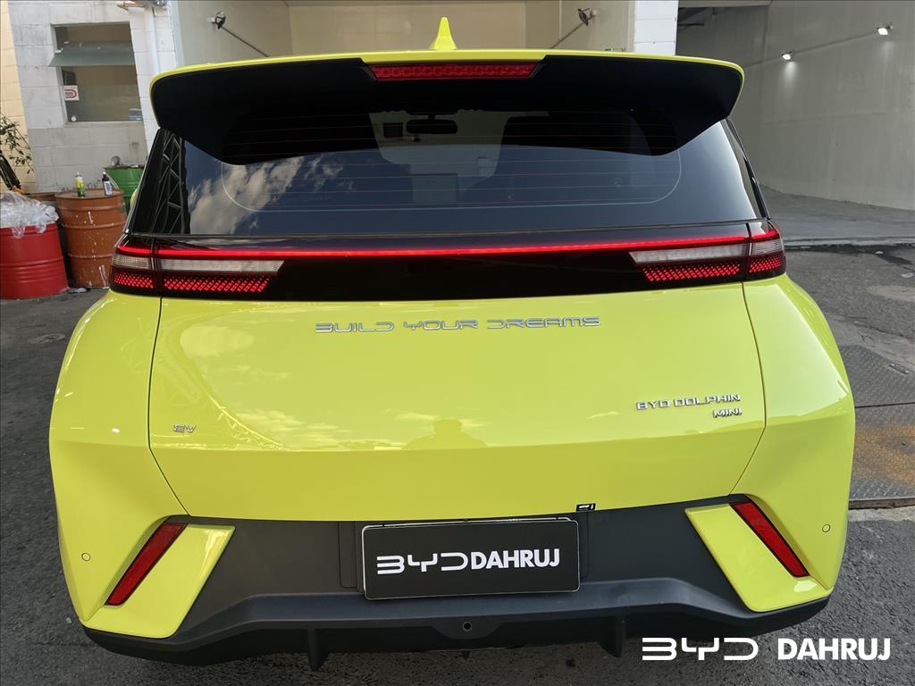 DOLPHIN MINI 38 KW ELÉTRICO15