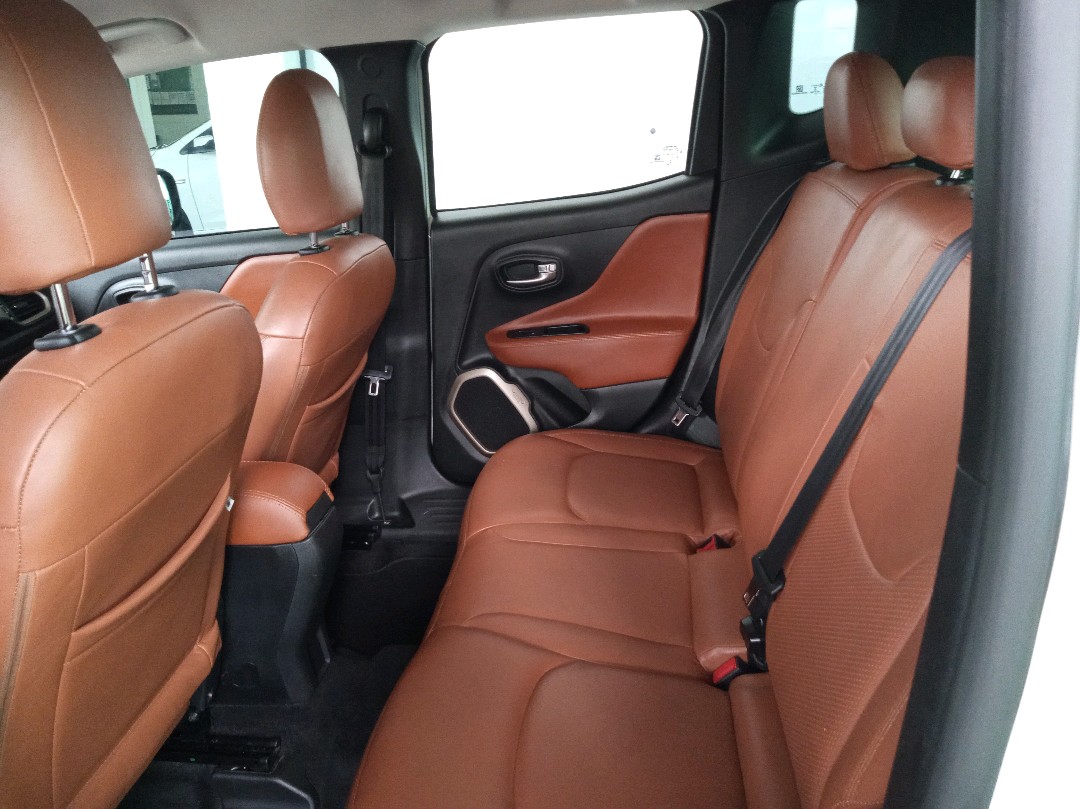RENEGADE 1.8 16V FLEX 4P MANUAL9