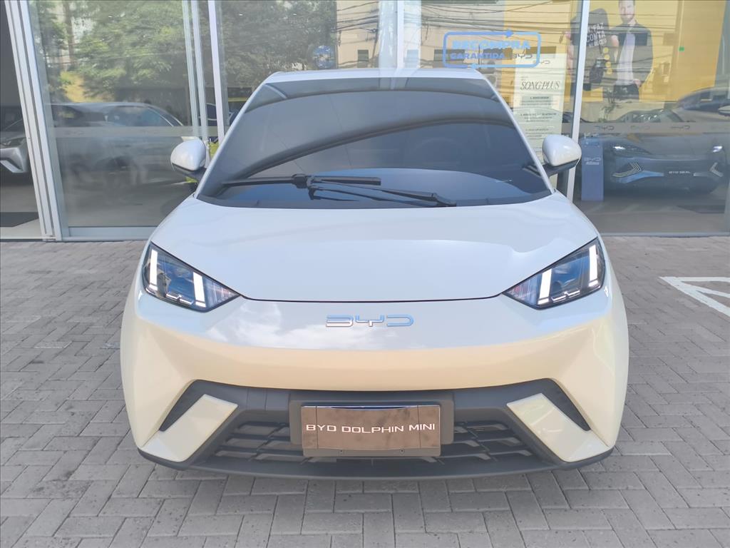 DOLPHIN MINI 38 KW ELÉTRICO1