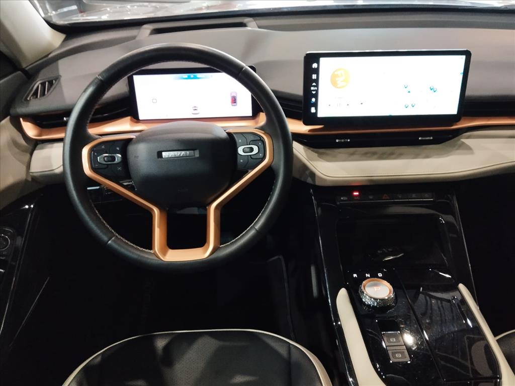 HAVAL H6 1.5 PHEV19 E-TRACTION13