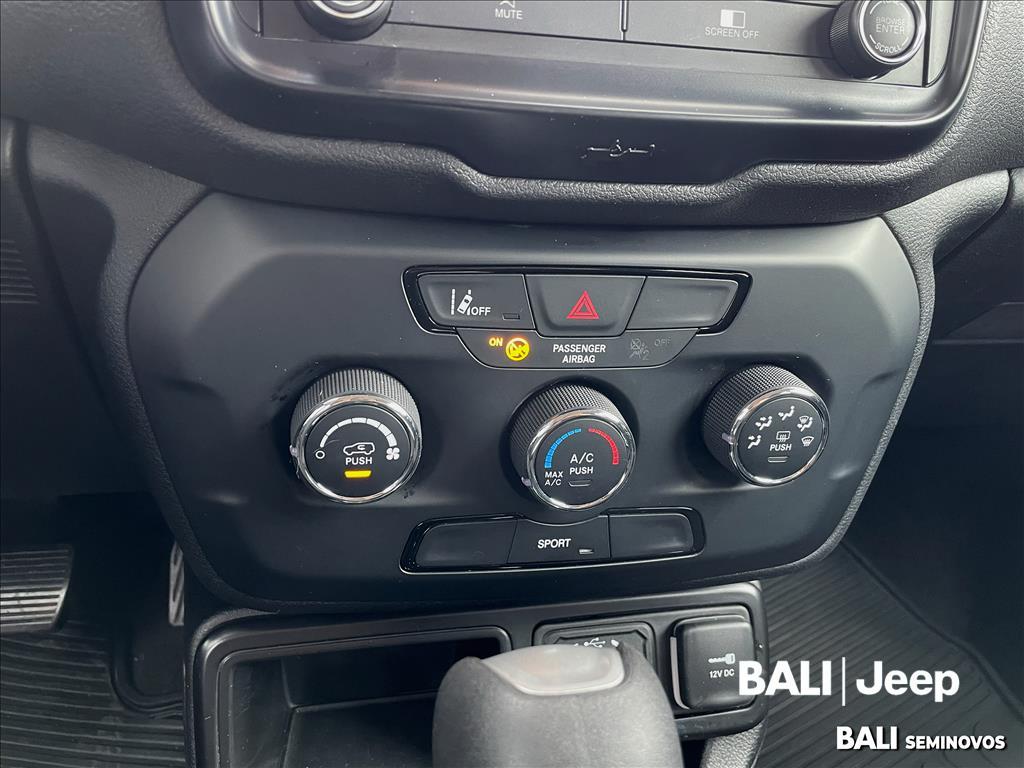 RENEGADE 1.3 T270 TURBO FLEX AT614