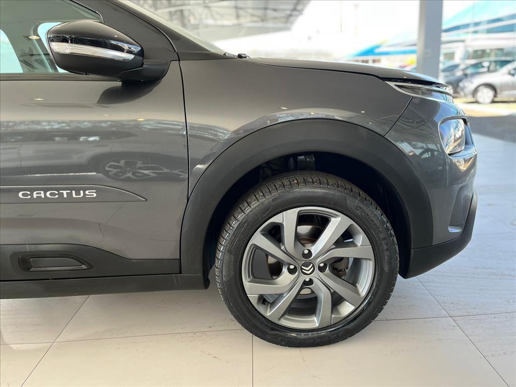 C4 CACTUS 1.6 VTI 120 FLEX FEEL EAT6