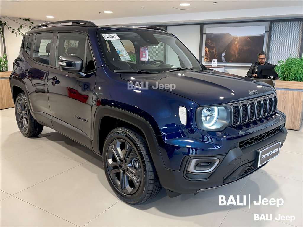 RENEGADE 1.3 T270 TURBO FLEX LONGITUDE AT61