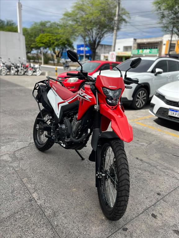 HONDA XR
