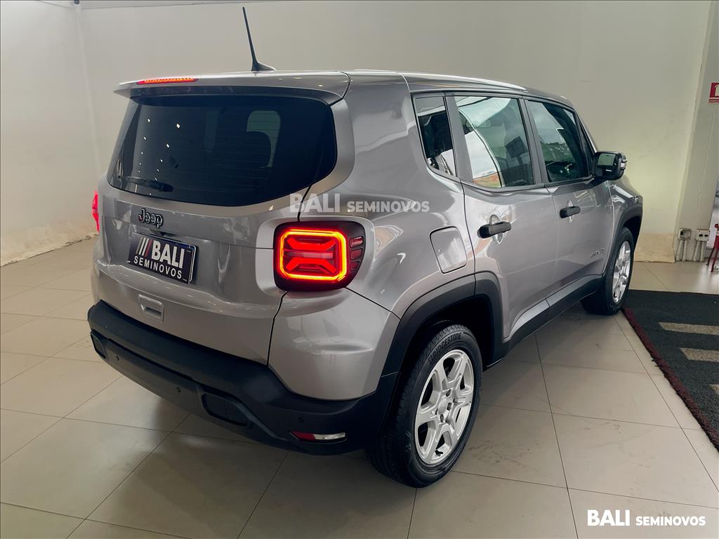 RENEGADE 1.3 T270 TURBO FLEX AT66