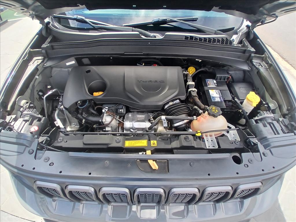 RENEGADE 1.3 T270 TURBO FLEX S 4X4 AT9