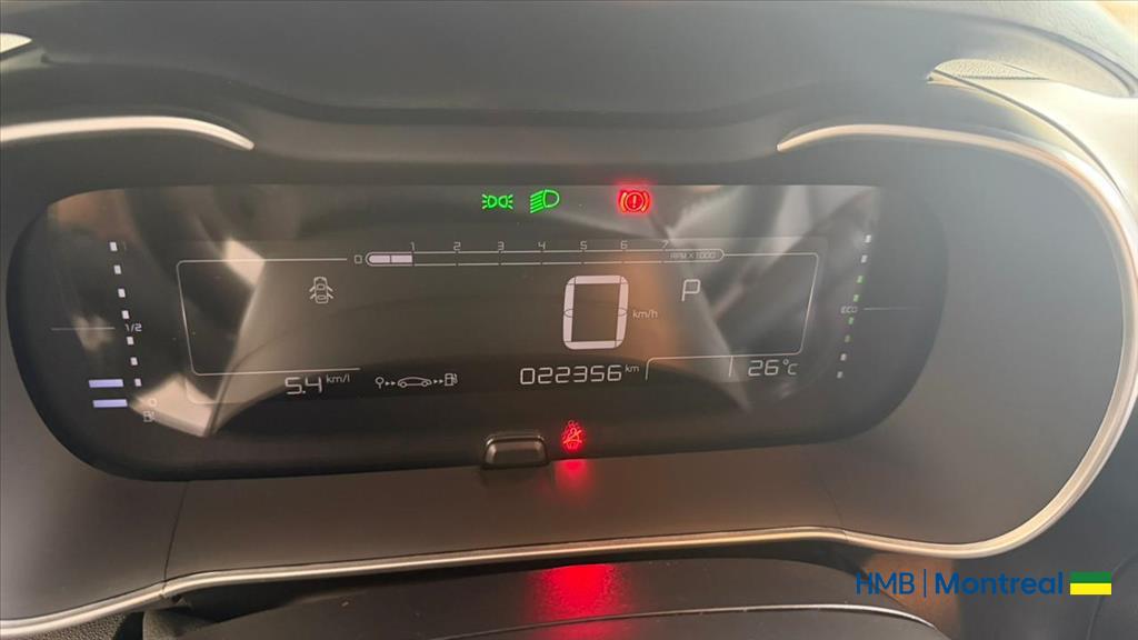 C4 CACTUS 1.6 THP FLEX SHINE PACK EAT612