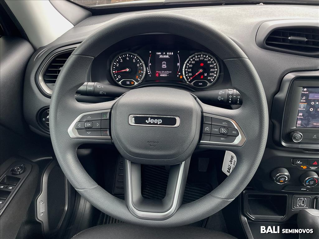 RENEGADE 1.3 T270 TURBO FLEX AT610