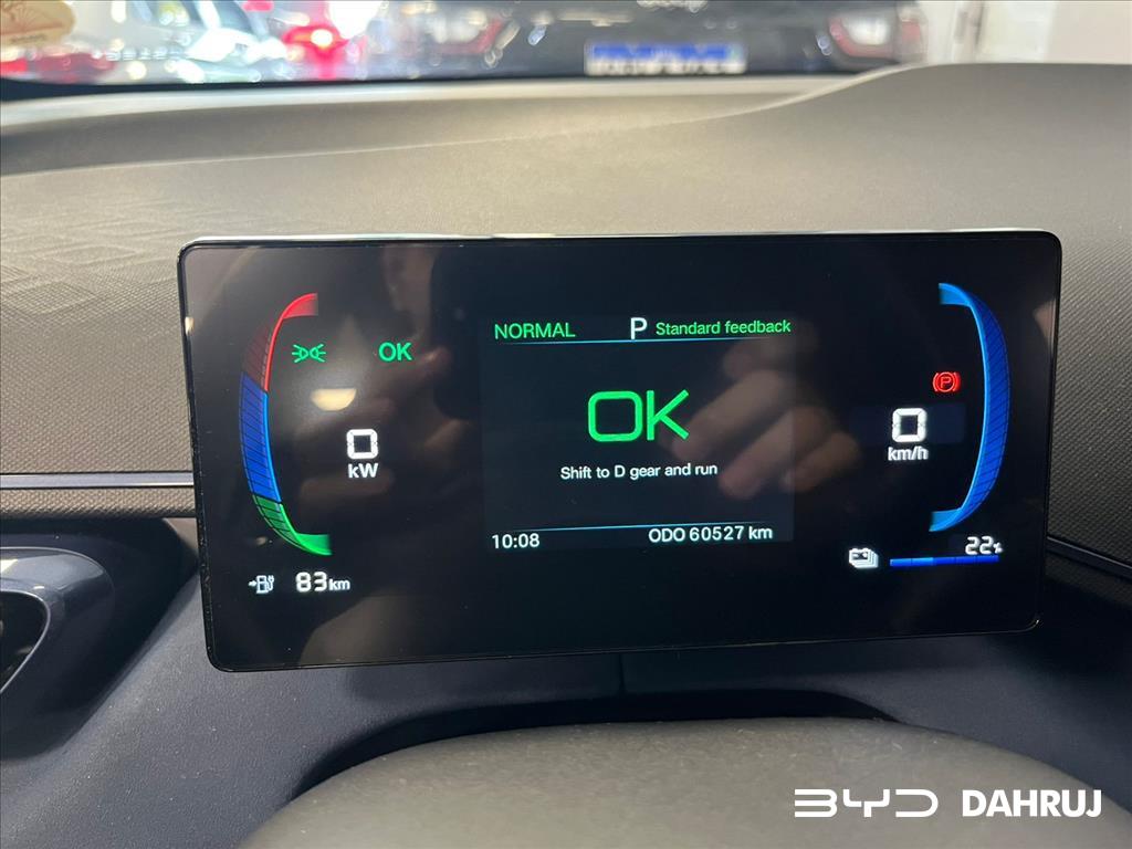 DOLPHIN MINI 38 KW ELÉTRICO4