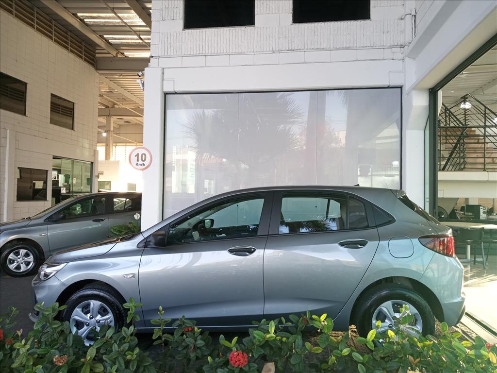ONIX 1.0 FLEX MANUAL
