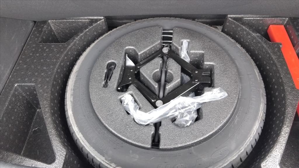 DOLPHIN 44,9 KW ELÉTRICO10