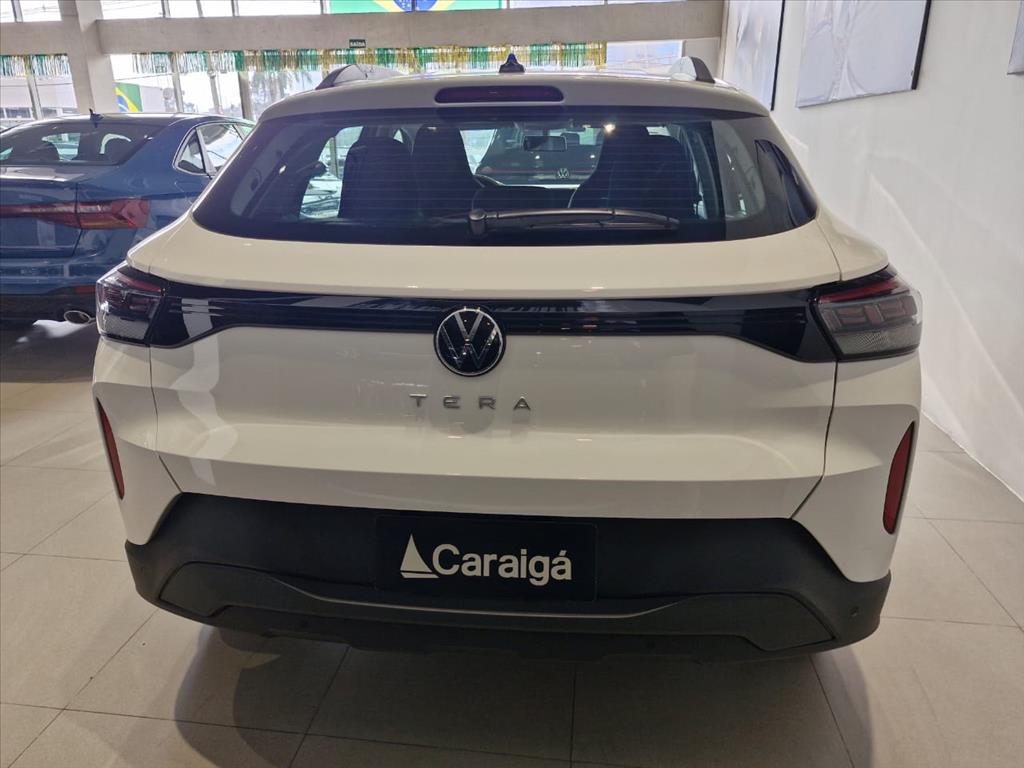 TERA 1.0 MPI MANUAL4