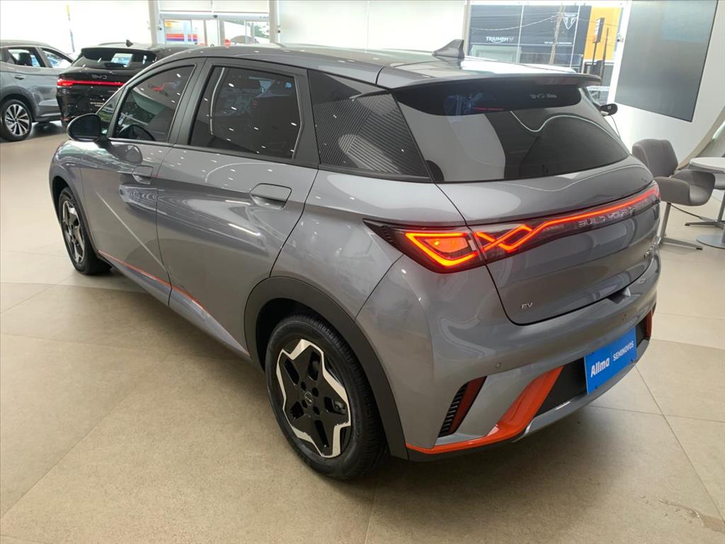 DOLPHIN 44,9 KW ELÉTRICO3