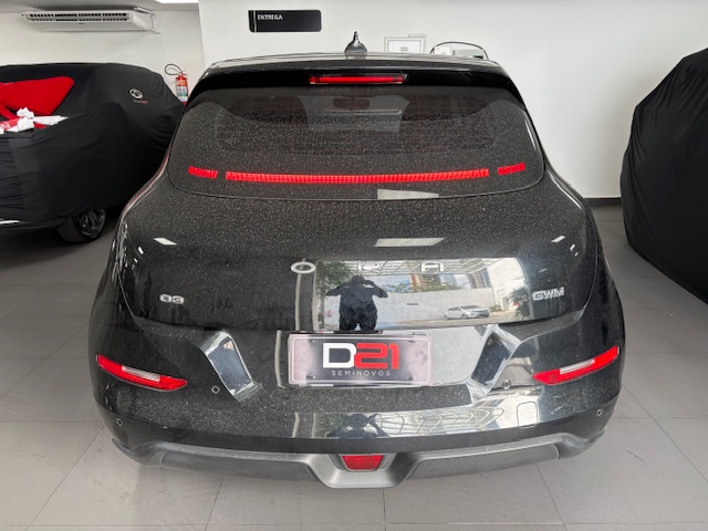 GWM-ORA 03-48 KW ELÉTRICO SKIN