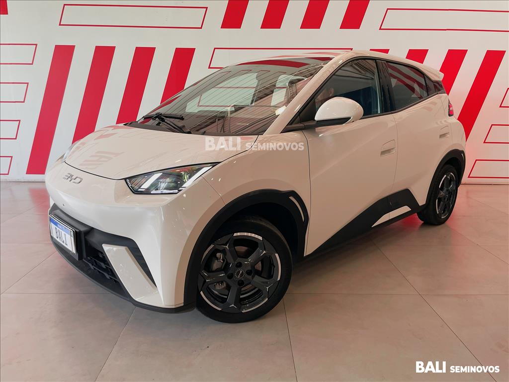 DOLPHIN MINI 38 KW ELÉTRICO1