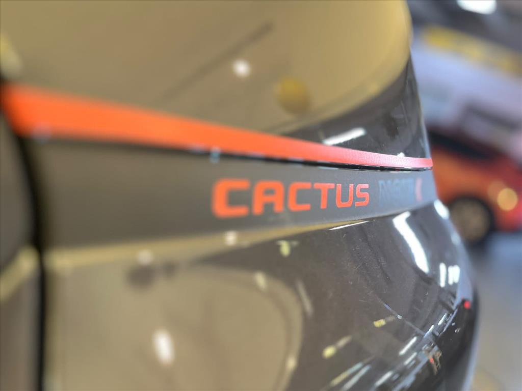 C4 CACTUS 1.6 THP FLEX SHINE PACK EAT613