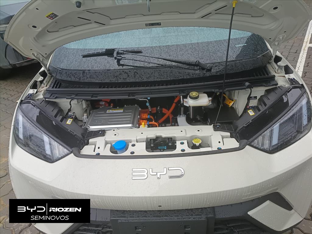 DOLPHIN MINI 38 KW ELÉTRICO GS7