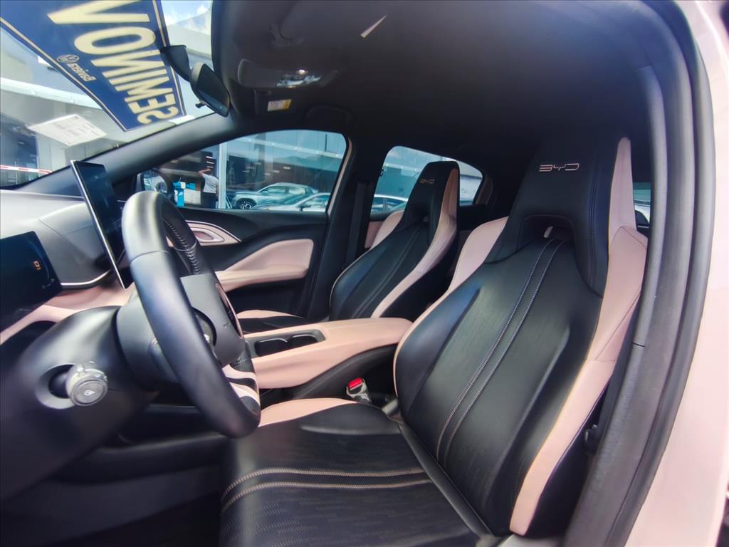 DOLPHIN MINI 38 KW ELÉTRICO 5L6