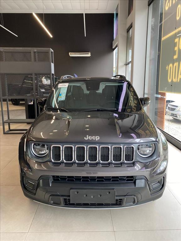 RENEGADE 1.3 T270 TURBO FLEX SAHARA AT61