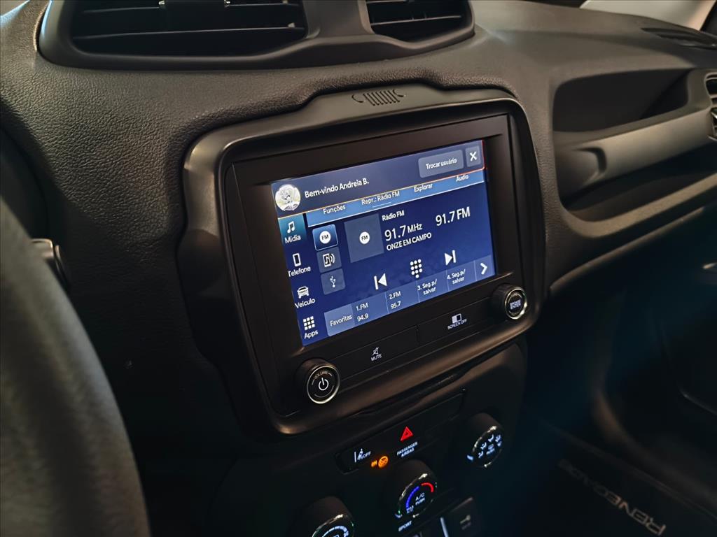 RENEGADE 1.3 T270 TURBO FLEX AT67